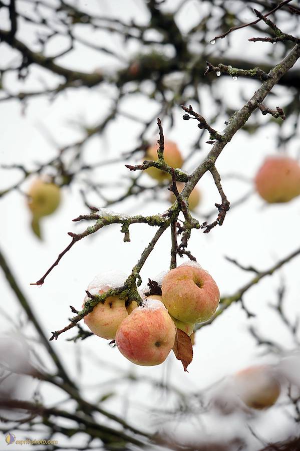 Nom de l'image : D30038094_1_(c)Norbert-JUNG — Description :